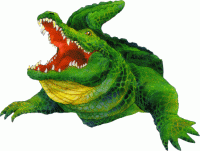 Gator logo